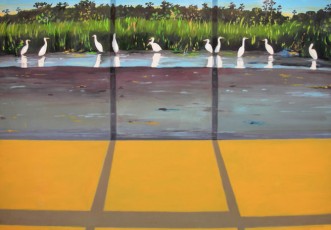 Pássaros no Pantanal, 197